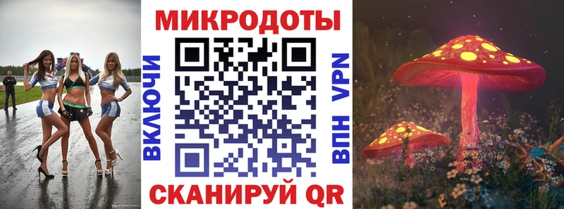 продажа наркотиков  Абаза  Галлюциногенные грибы Psilocybine cubensis 